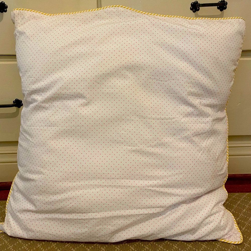 Serena & Lily euro sham